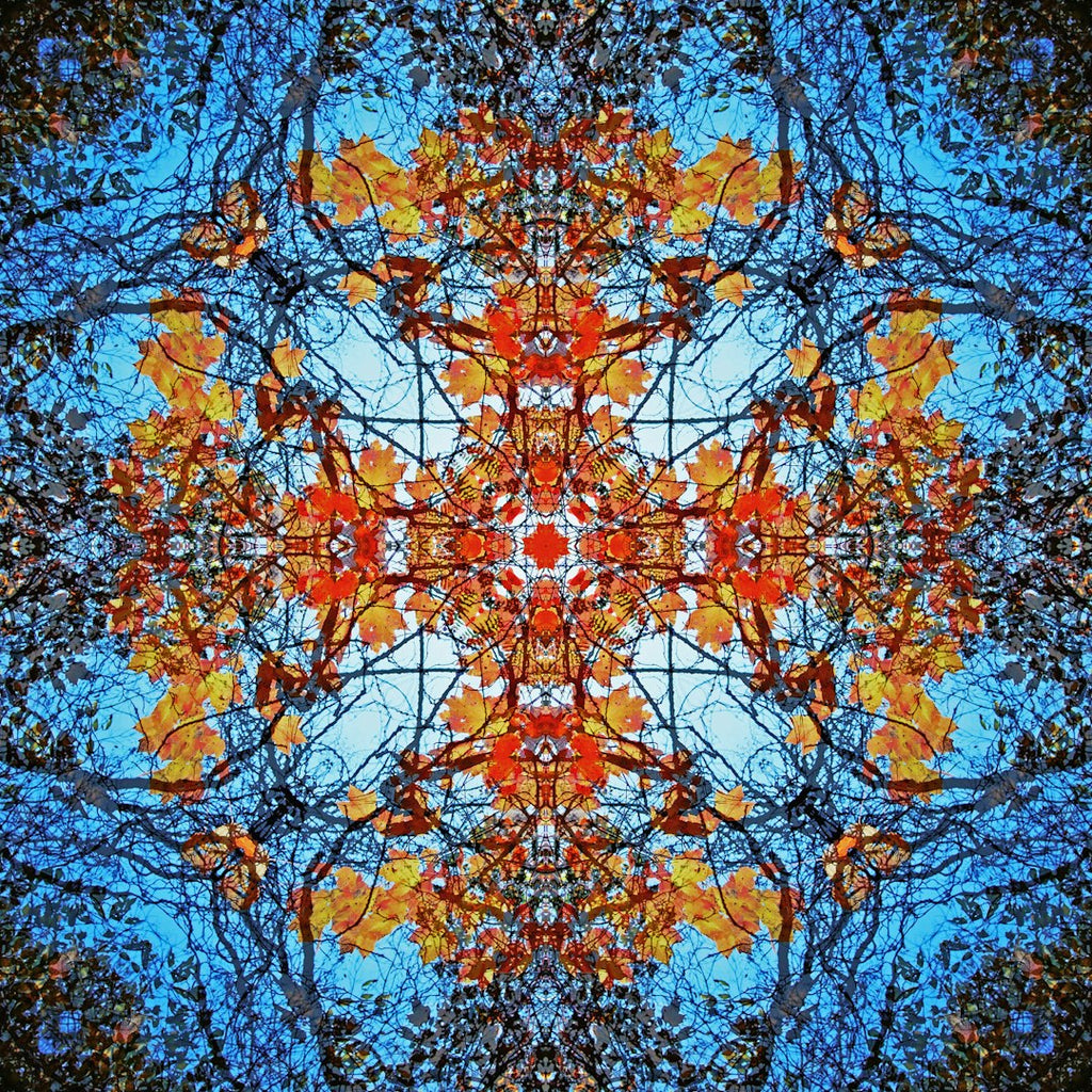 A dark, symmetrical geometric pattern featuring interlocking triangular and diamond shapes in shades of gray and black with Mirror symmetry. — base photo: A high-contrast macro photograph of layered architectural glass and metallic struts, featuring sharp