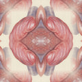 Seamless mirror wallpaper pattern — Medicine by wallpaper⁶