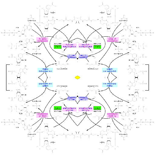 Seamless mirror wallpaper pattern — Biochemistry by wallpaper⁶