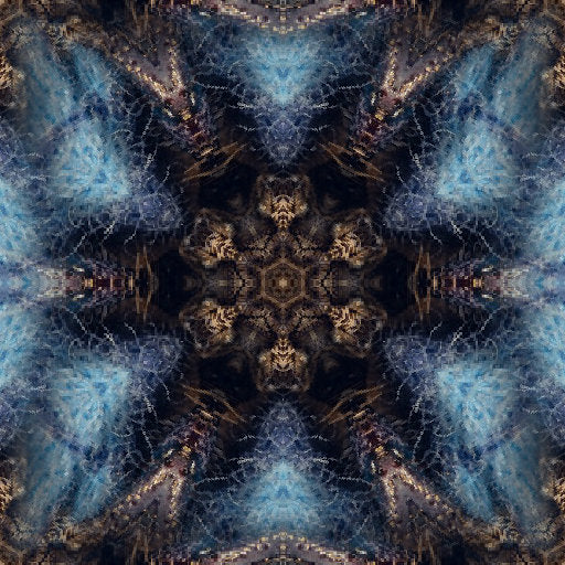Entomology Kaleidoscope wallpaper pattern