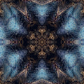 Entomology Kaleidoscope wallpaper pattern