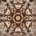 Entomology Kaleidoscope wallpaper pattern