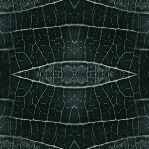Cryptography Mirror wallpaper pattern