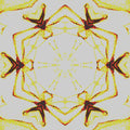 Seamless kaleidoscope wallpaper pattern — Medicine by wallpaper⁶