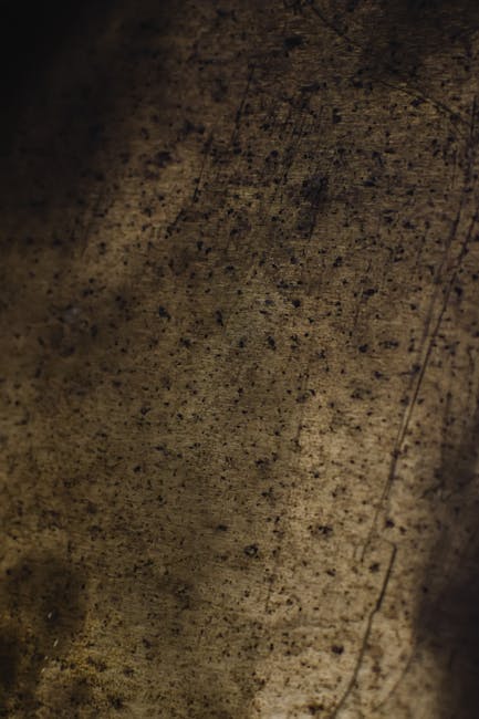Seamless mirror wallpaper pattern — Biochemistry by wallpaper⁶ — base photo: Detailed view of a weathered texture capturing the gritty surface of Estonia's environment.