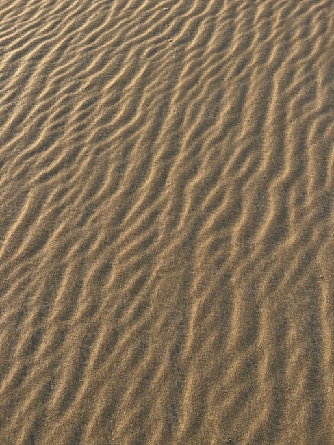Seamless mirror wallpaper pattern — Cartography by wallpaper⁶ — base photo: Detailed view of wavy sand patterns in a desert environment under sunlight.