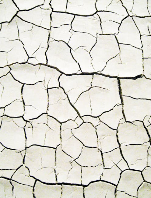 Topology Kaleidoscope wallpaper pattern — base photo: Close-up of cracked, dry earth surface, showcasing texture and drought conditions.