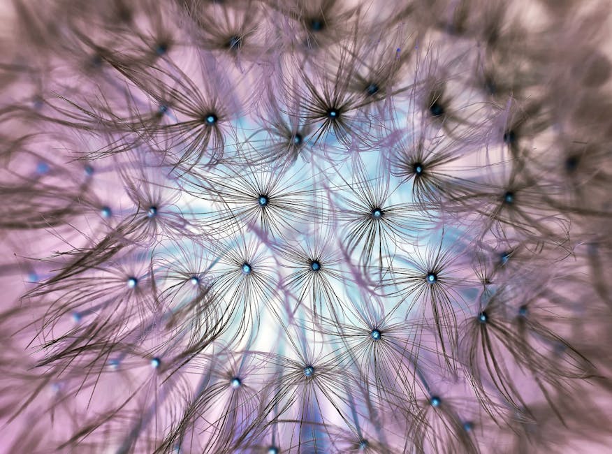 AI-generated dandelion seeds arranged in a diamond symmetry pattern for wallpaper. — base photo: A close-up view of delicate dandelion seeds, their feathery parachutes spread wide. The soft focus c