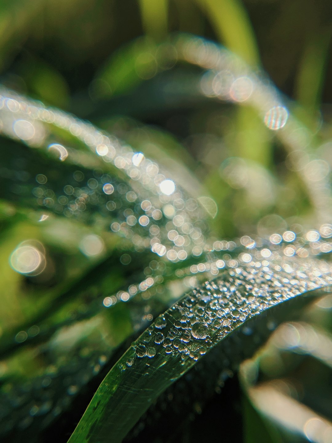 Meteorology Hexagon wallpaper pattern — base photo: I was taking a walk across a village in the morning in coorg. It was early in the morning where sun 