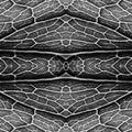 A blue and white mirrored pattern of chemical formulas and molecular diagrams forming a symmetrical grid.