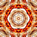 Close-up of a repeating kaleidoscope pattern inspired by rough tree bark textures, showcasing organic lines and earthy tones.