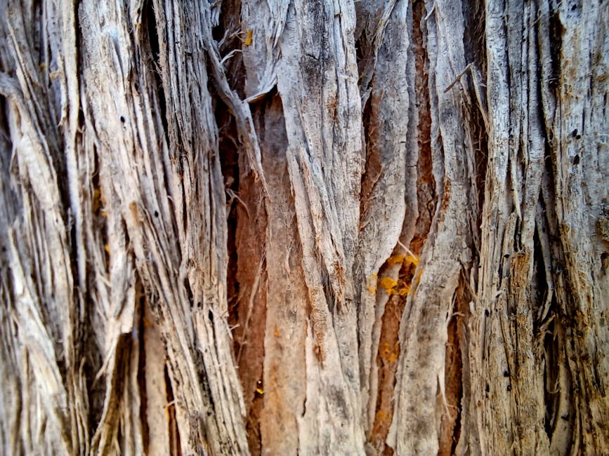 Close-up of a repeating kaleidoscope pattern inspired by rough tree bark textures, showcasing organic lines and earthy tones. — base photo: A high-resolution macro photograph capturing the rough, fissured texture of tree bark. Focus highlig