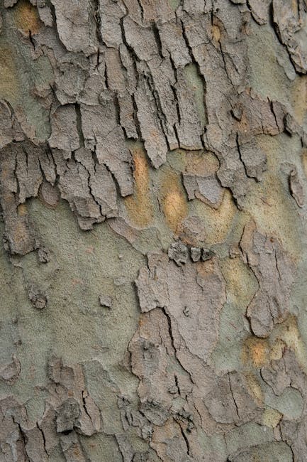 Close-up of tree bark pattern with kaleidoscope symmetry, featuring earthy brown and grey tones. Self-adhesive wallpaper design. — base photo: A close-up photograph of tree bark, revealing intricate natural textures, crevices, and a subtle pal