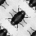 Entomology Diamond wallpaper pattern