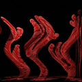 Biology Wave wallpaper pattern