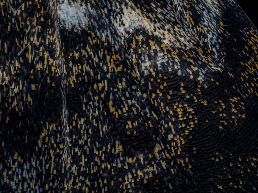 Seamless mirror wallpaper pattern — Glitch by wallpaper⁶ — base photo: Intricate close-up of a moth's wing showing detailed scales in various colors.