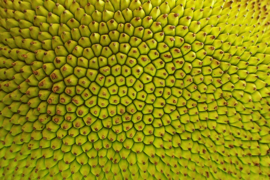 Geometric diamond symmetry pattern inspired by origami folds in a vibrant green color. — base photo: A close-up captures the intricate, textured surface of a vibrant green jackfruit. Its detailed organ