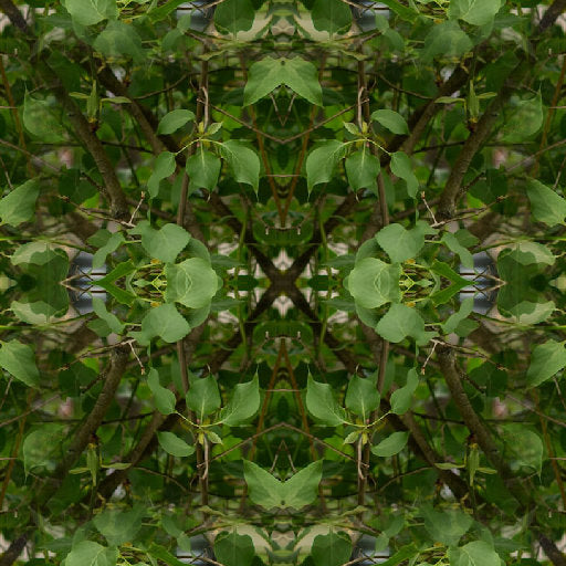 Portraits Mirror wallpaper pattern