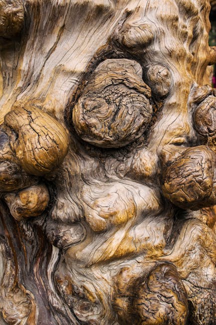 Topology Hexagon wallpaper pattern — base photo: Detailed texture of a knotted tree bark emphasizing natural patterns and organic formations.