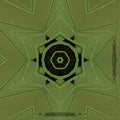 WALLPAPER⁶ — seamless kaleidoscope pattern from pollen grain microscope, Biology