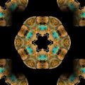 A seamless kaleidoscope pattern of butterfly wings in amber and black, creating a complex radial geometric design.