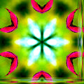 Seamless kaleidoscope wallpaper pattern — Origami by wallpaper⁶