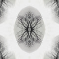 A seamless mirrored pattern of a human face in black and white, creating a symmetrical Rorschach-style artistic wallpaper.