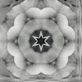 Seamless kaleidoscope wallpaper pattern — Geometry by wallpaper⁶