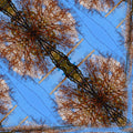 Seamless diamond wallpaper pattern — Glitch by wallpaper⁶