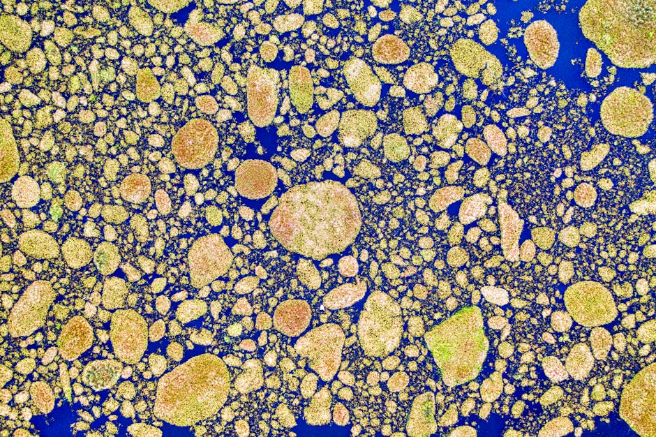 Biology Wave wallpaper pattern — base photo: Vibrant aerial shot of green algae clusters on blue water showcasing abstract patterns.
