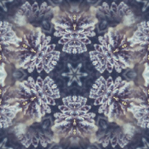 WALLPAPER⁶ — seamless kaleidoscope pattern from coral reef macro, Biology