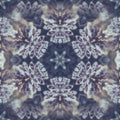 WALLPAPER⁶ — seamless kaleidoscope pattern from coral reef macro, Biology