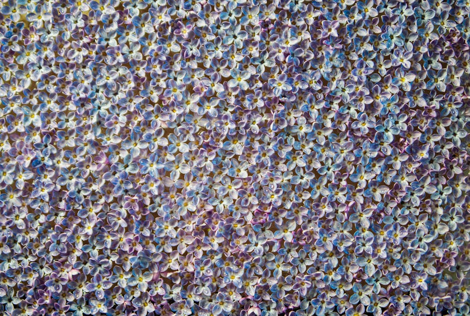 Data Vertical Strip wallpaper pattern — base photo: Close-up of a dense carpet of lilac flowers creating a vibrant, colorful pattern perfect for spring 