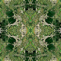 Seamless mirror wallpaper pattern — Cartography by wallpaper⁶