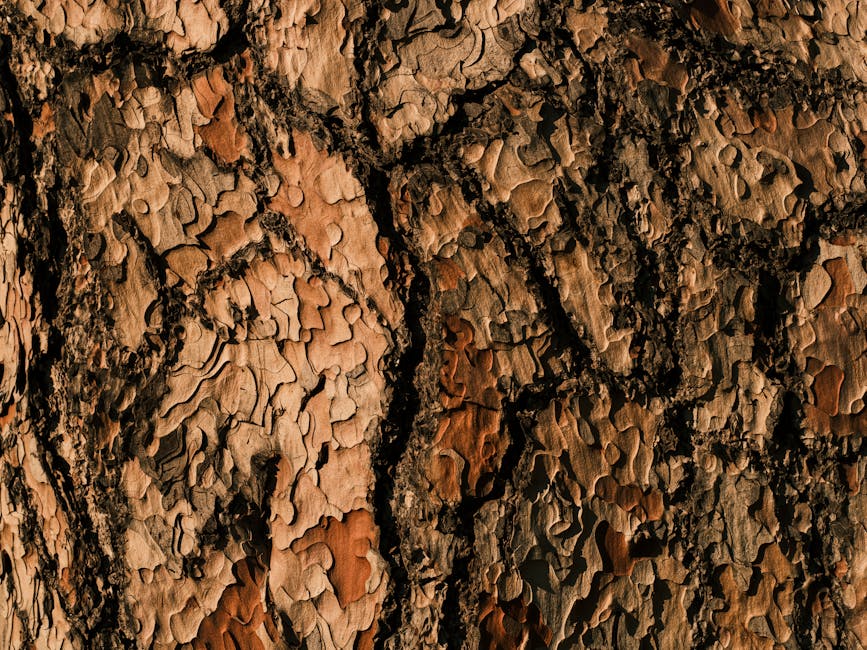 Botanics Kaleidoscope wallpaper pattern — base photo: Detailed macro photograph of cracked tree bark, showcasing earthy textures and natural patterns.