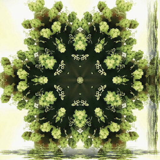 Seamless kaleidoscope wallpaper pattern — Biochemistry by wallpaper⁶