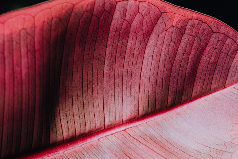 A seamless AI-generated pattern featuring the detailed texture and veins of a vibrant red leaf, arranged in a brick repeat. — base photo: A stunning macro photograph captures the vibrant red and intricate vein details of a leaf. The extre