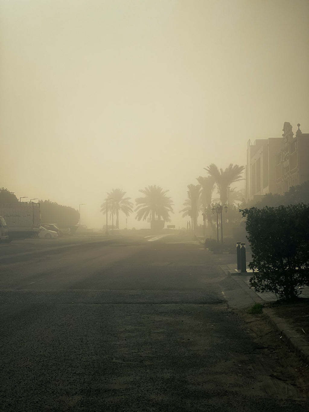Meteorology Diamond wallpaper pattern — base photo: a foggy street with palm trees in the distance