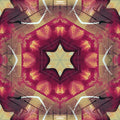 Seamless kaleidoscope wallpaper pattern — Calligraphy by wallpaper⁶