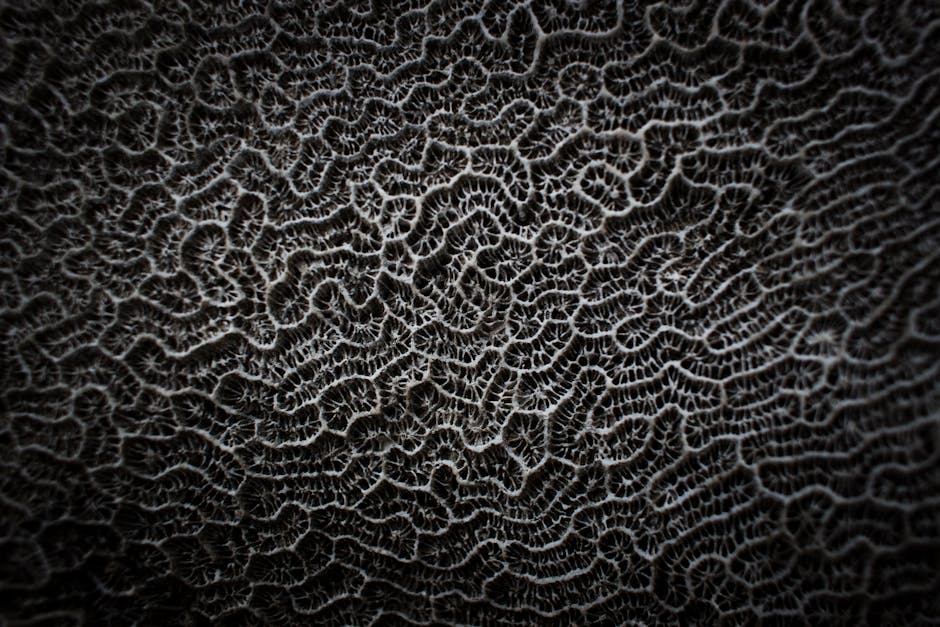Cryptography Mirror wallpaper pattern — base photo: Highly detailed close-up of intricate coral surface patterns, showcasing natural design and texture.