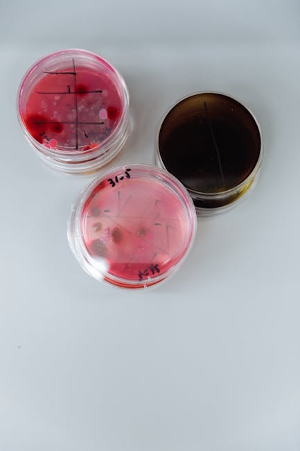Seamless mirror wallpaper pattern — Medicine by wallpaper⁶ — base photo: Top view of petri dishes showing bacterial growth for scientific research.