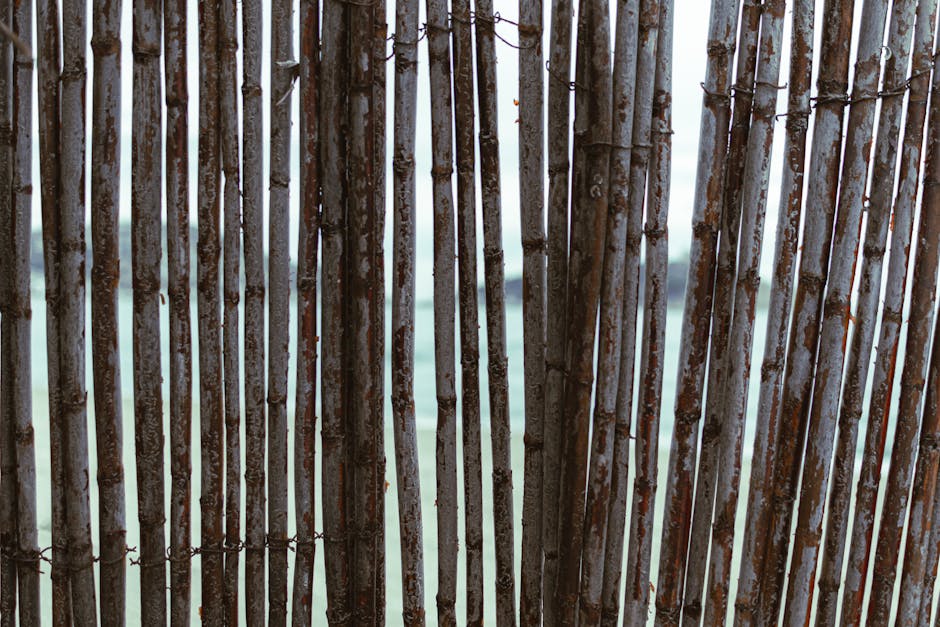 Botanics Hexagon wallpaper pattern — base photo: Close-up of a rustic cane fence in Tabarka, Tunisia by the sea.