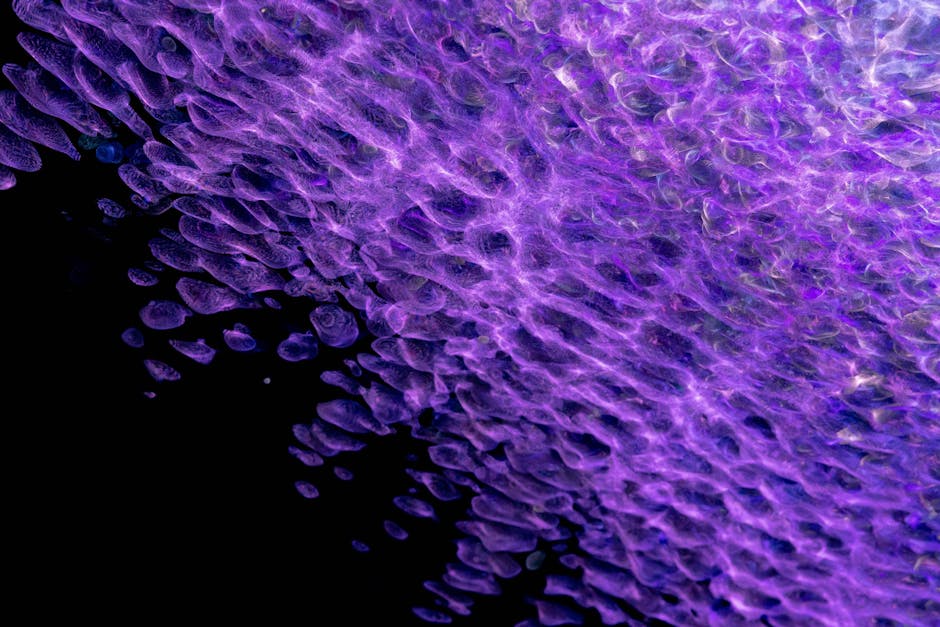 Seamless kaleidoscope wallpaper pattern — Biochemistry by wallpaper⁶ — base photo: Colorful abstract texture with purple hues creating a unique pattern and digital art backdrop.