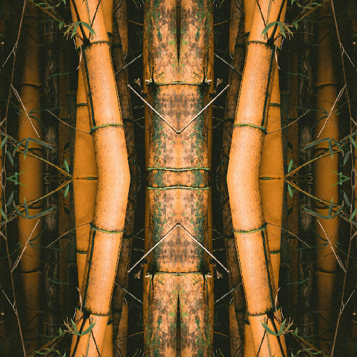 Botanics Mirror wallpaper pattern