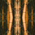 Botanics Mirror wallpaper pattern