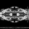 Seamless mirror wallpaper pattern — Origami by wallpaper⁶
