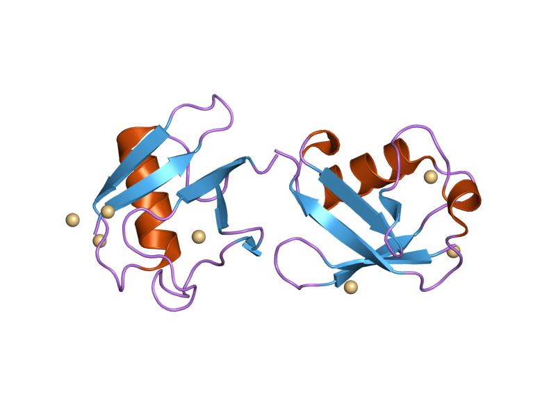 Seamless hex wallpaper pattern — Biochemistry by wallpaper⁶ — base photo: File:PDB 2fcq EBI.jpg