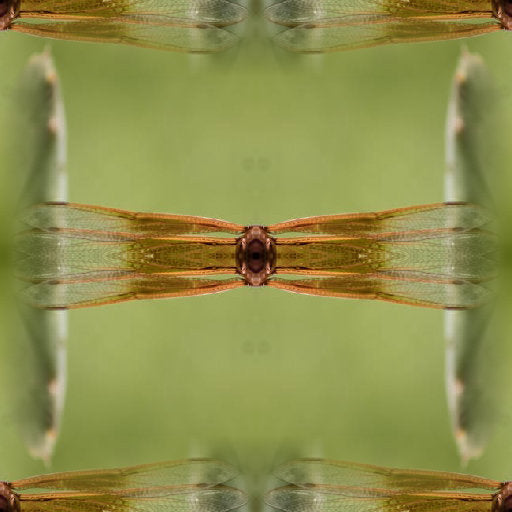 A symmetrical mirror pattern of orange and black butterfly wing textures in a seamless repeat tile layout.
