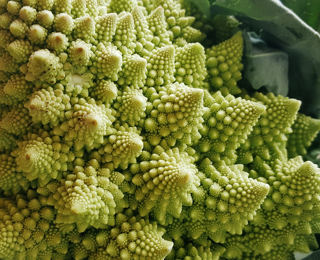 Fractals Kaleidoscope wallpaper pattern — base photo: Romanesco broccoli