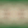 Entomology Mirror wallpaper pattern